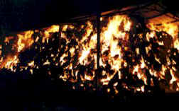 shed.jpg (13604 bytes)